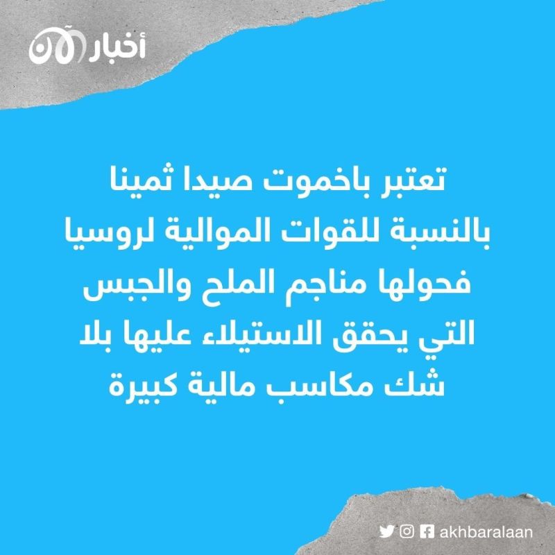 الملح والجبس والمدن السرية.. ما سر أهمية باخموت الأوكرانية في الغزو الروسي؟ 1 الملح والجبس والمدن السرية.. ما سر أهمية باخموت الأوكرانية في الغزو الروسي؟