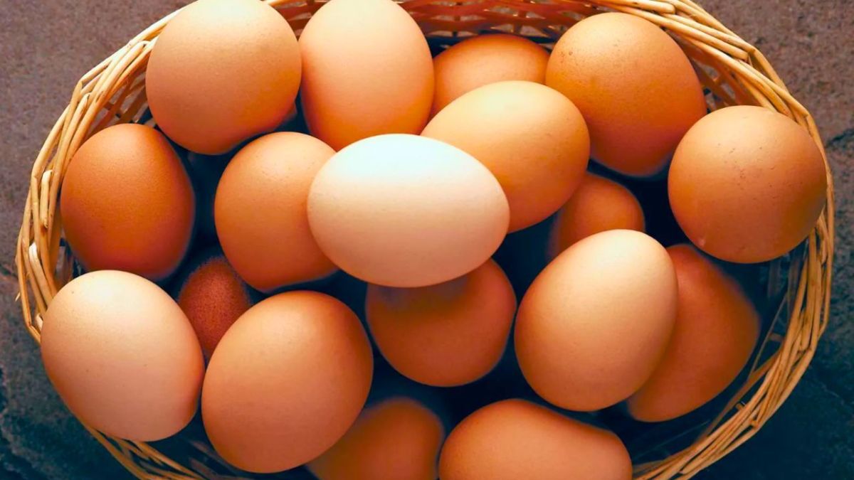 5 مأكولات يمكنها مساعدتك على التخلص من دهون البطن