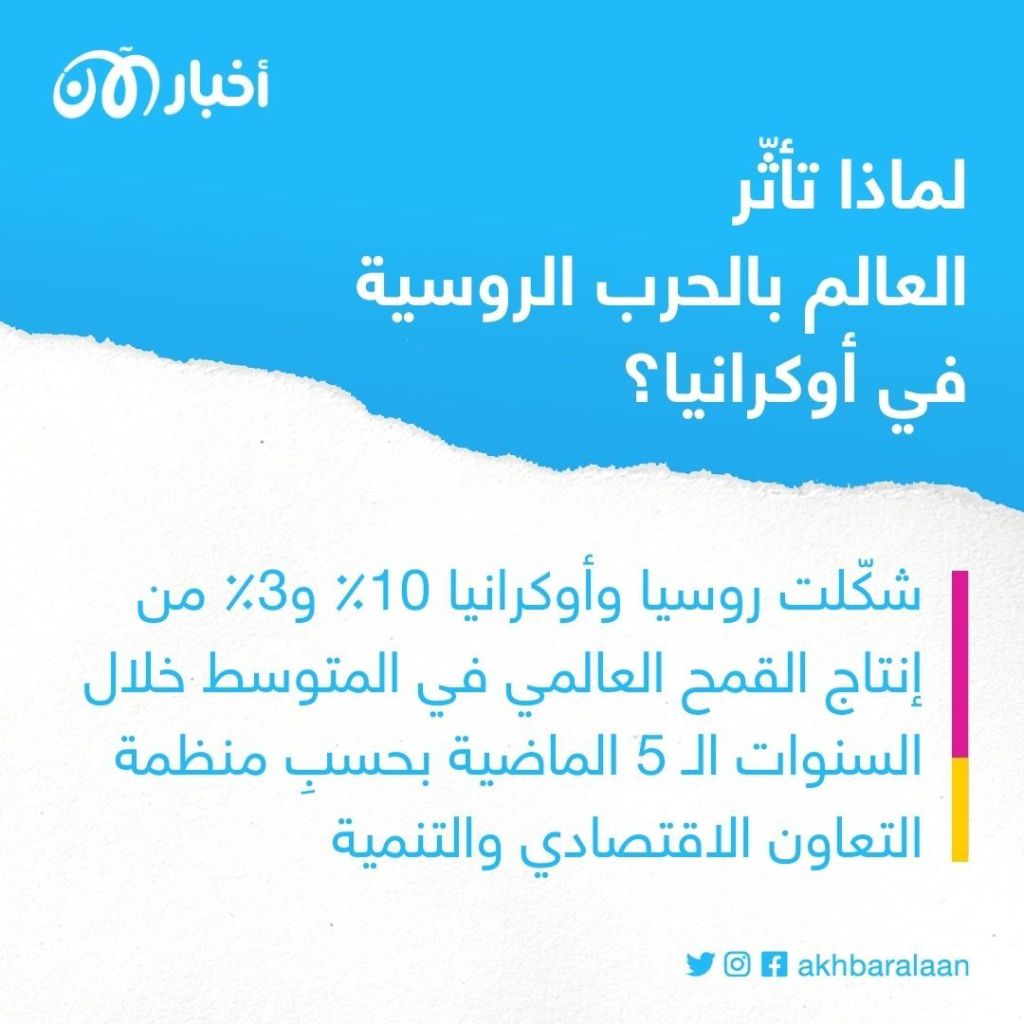 نهاية حقبة الطعام الرخيص.. كيف أضر غزو روسيا لأوكرانيا إمدادت الغذاء؟ 2 نهاية حقبة الطعام الرخيص.. كيف أضر غزو روسيا لأوكرانيا إمدادت الغذاء؟