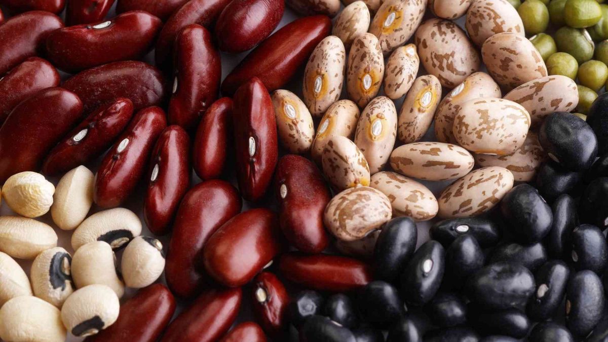 8 أطعمة يمكنك تناولها رغم انتهاء صلاحيتها.. تعرف عليها