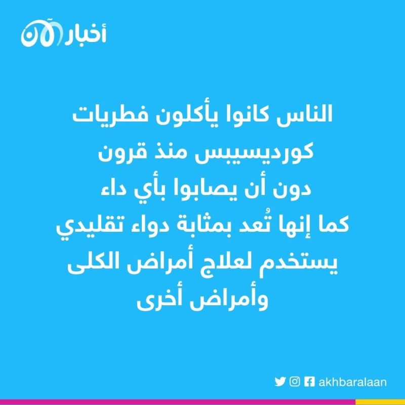 ما حقيقة فطر الكورديسبس الذي حوّل العالم إلى زومبي في مسلسل The Last of Us؟