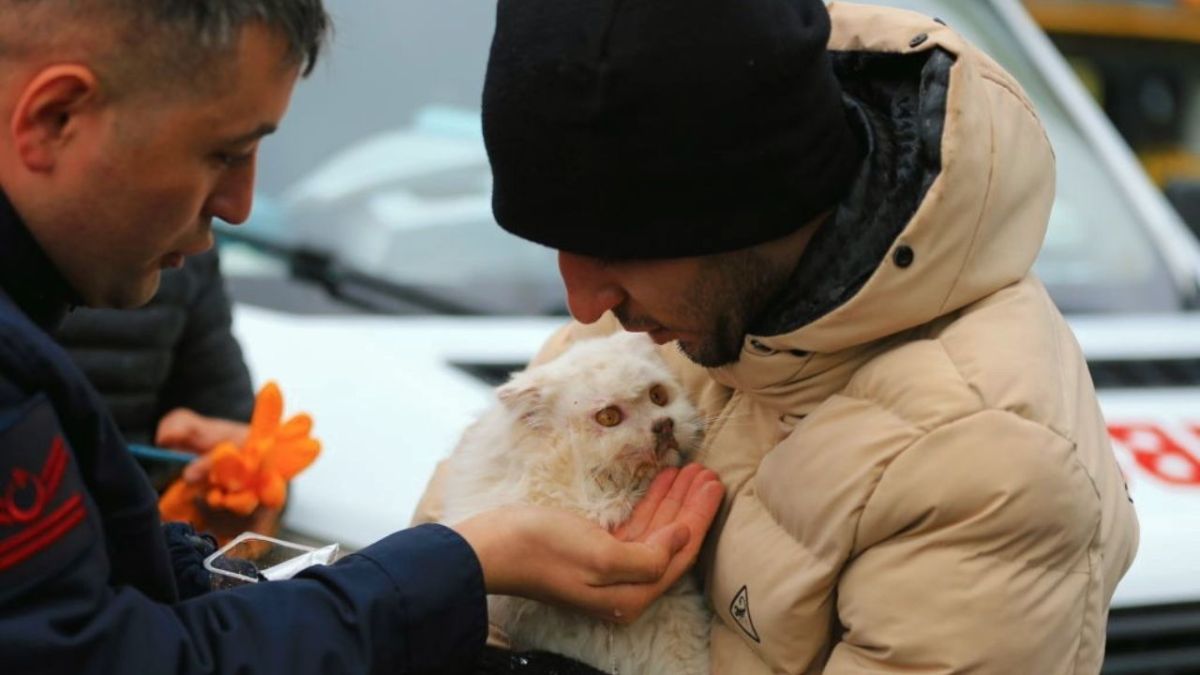 زلزال تركيا.. 10 صور مؤلمة للدمار هزت العالم