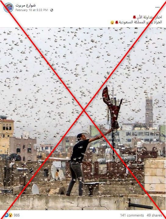 أسراب الجراد تغزو سماء السعودية.. ما حقيقة الفيديوهات المتداولة؟ 1 أسراب الجراد تغزو سماء السعودية.. ما حقيقة الفيديوهات المتداولة؟