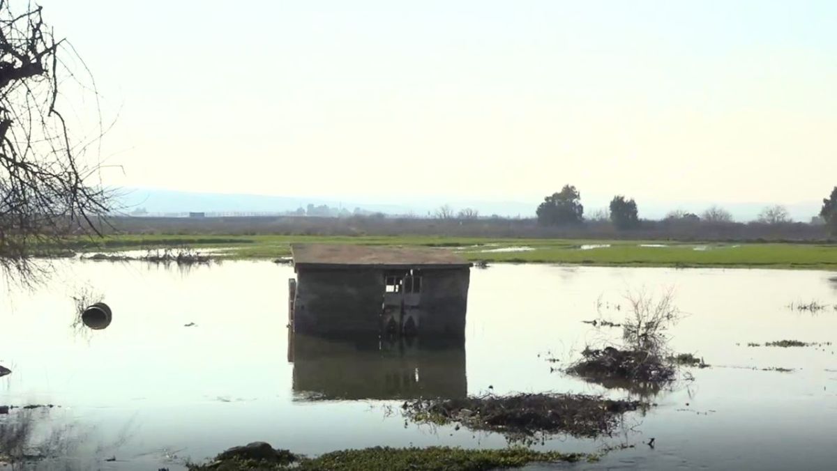 كيف تسبب زلزال سوريا في غرق قرية شمال إدلب؟