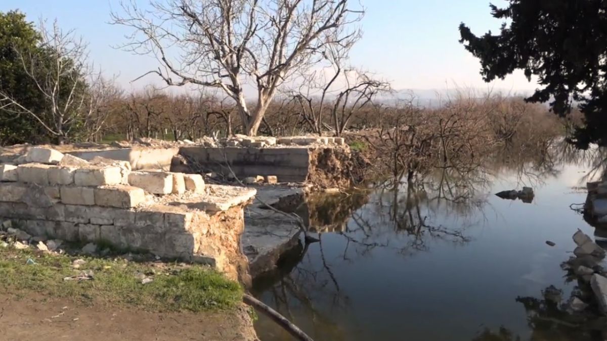 صورة تظهر جذع الأشجار التي كانت على السطح غارقة في المياه- أخبار الآن