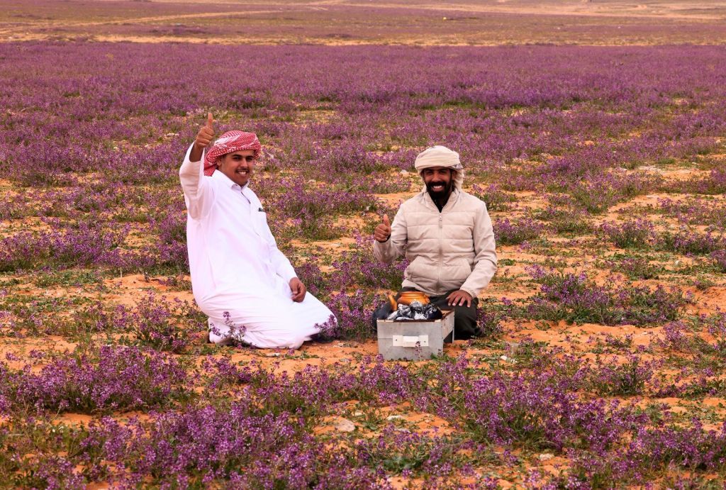 "كأنك في جنة".. صحراء السعودية تتحول إلى اللون الأرجواني