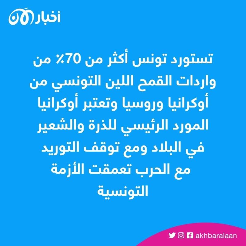 عام على الغزو الروسي.. العرب يدفعون ثمن الدمار من قوت يومهم 1 الغزو