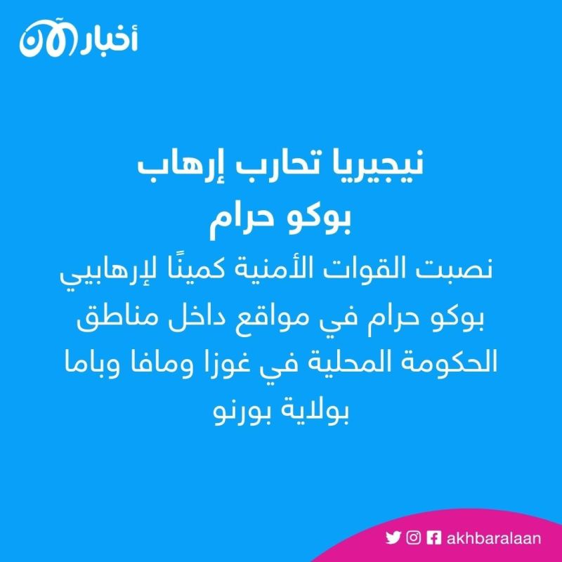 مقتل 133 من مسلحي بوكو حرام في نيجيريا 1 مقتل 133 من مسلحي بوكو حرام في نيجيريا
