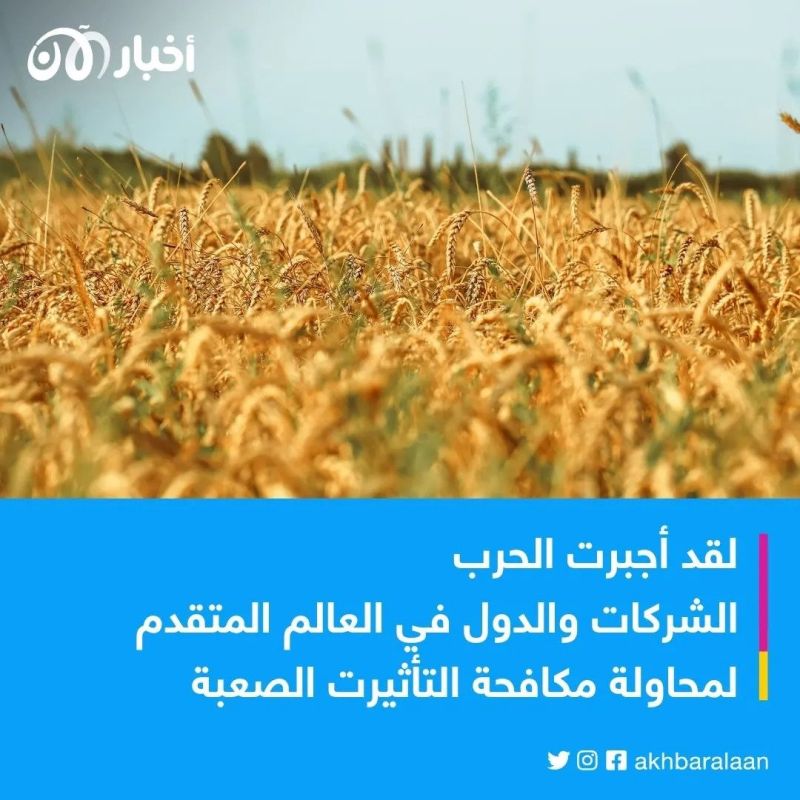 في ذكرى الغزو الروسي.. خبيرة أممية تكشف لـ"أخبار الآن" تأثيره على الاقتصاد العالمي 3 في ذكرى الغزو الروسي.. خبيرة أممية تكشف لـ"أخبار الآن" تأثيره على الاقتصاد العالمي