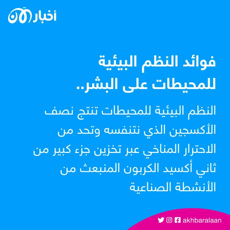 الدول الأعضاء في الأمم المتحدة تتوصل إلى اتفاق لحماية أعالي البحار