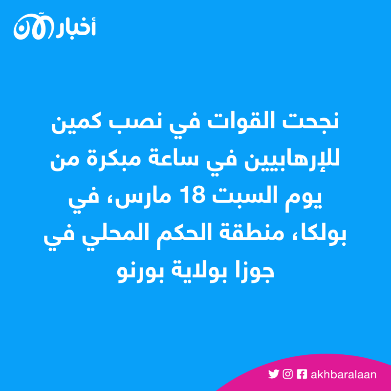 مقتل إرهابيين من تنظيم بوكو حرام في نيجيريا