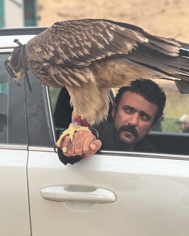 دعاية مسلسلات رمضان على حسابات النجوم الشخصية 3 دعاية مسلسلات رمضان على حسابات النجوم الشخصية