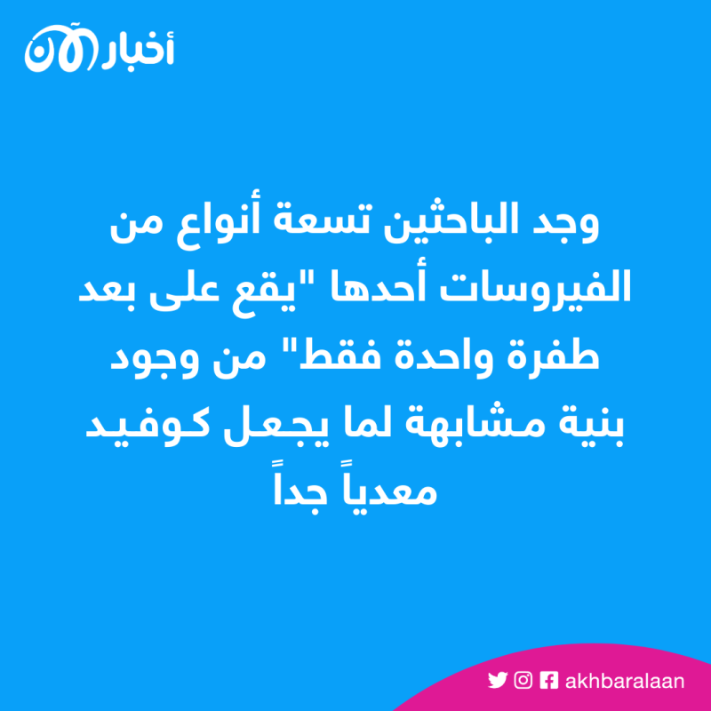 مخاوف من فيروس جديد قد ينتقل للبشر شبيه بكورونا