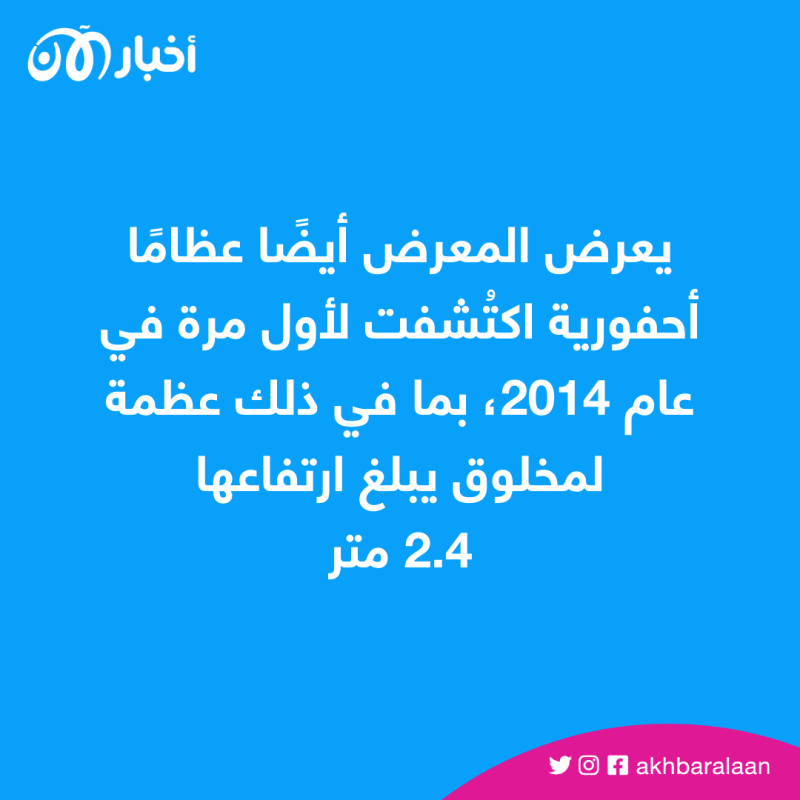 يعرض المعرض عظامًا أحفورية اكتُشفت لأول مرة في عام 2014، بما في ذلك عظمة يبلغ ارتفاعها 2.4 متر.