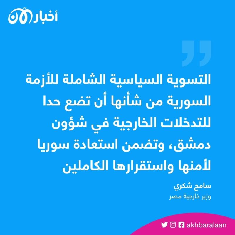 سامح شكري يؤكد دعم مصر التوصل إلى تسوية شاملة في سوريا