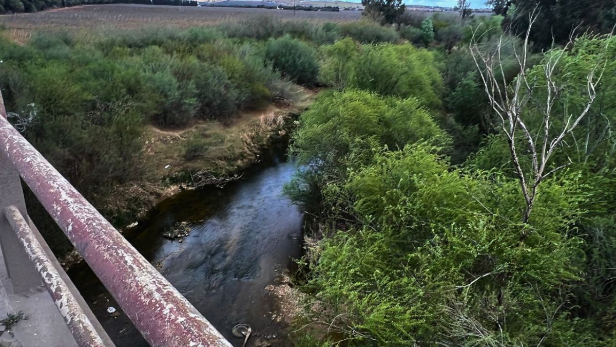 تونس ليس لديها الحد الأدنى من سيادتها الغذائية ووضعية الحبوب فيها كارثية