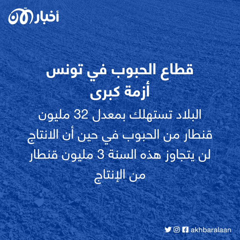 البلاد تستهلك بمعدل 32 مليون قنطار من الحبوب في حين أن الانتاج لن يتجاوز هذه السنة 3 مليون قنطار من الإنتاج