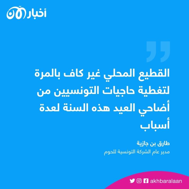 تونس ستسورد أضاحي العيد من السودان لأن قطيعها غير كاف 1 تونس ستسورد أضاحي العيد من السودان لأن قطيعها غير كاف