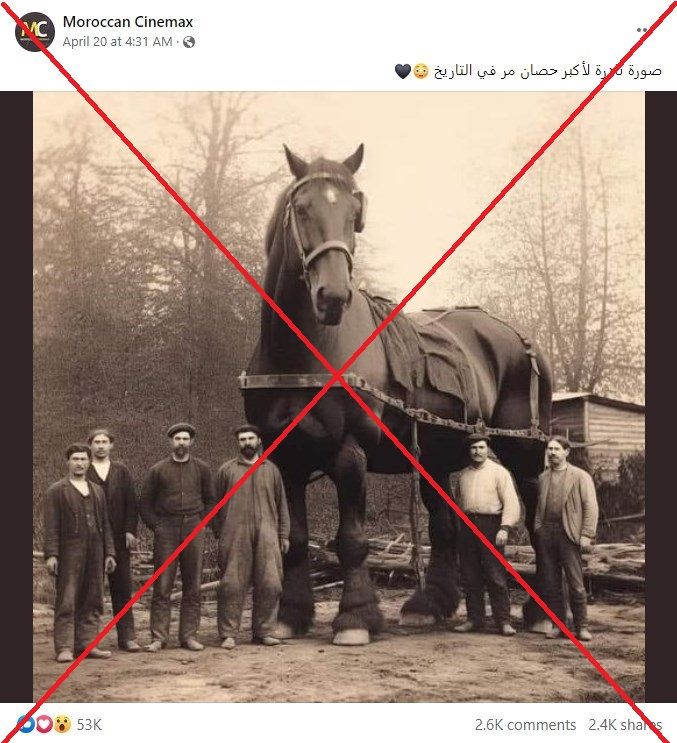 طوله يتجاوز 5 أمتار.. ما حقيقة صورة أكبر حصان في التاريخ؟