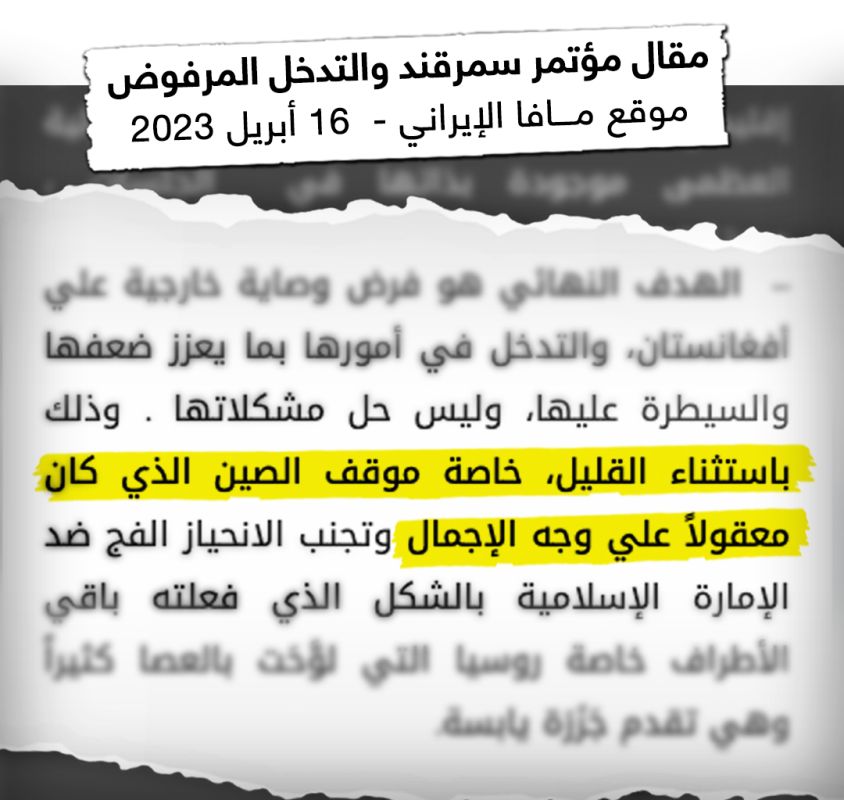 برعاية إيرانية.. ما الذي يريده صهر زعيم القاعدة من أفغانستان؟ 9 برعاية إيرانية.. ما الذي يريده صهر زعيم القاعدة من أفغانستان؟