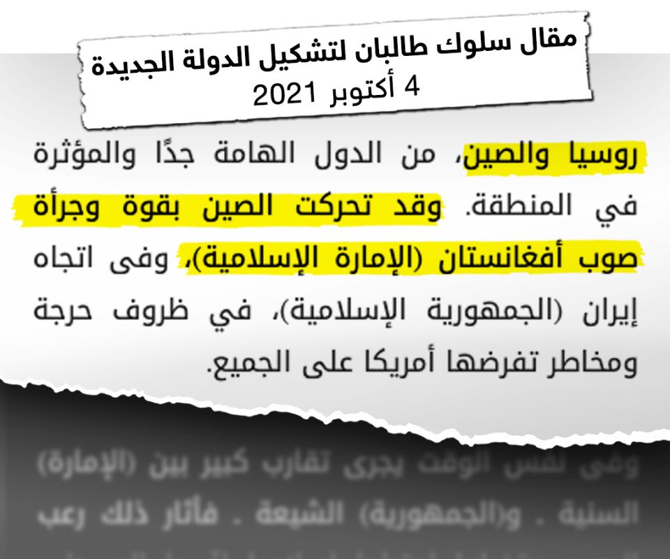 برعاية إيرانية.. ما الذي يريده صهر زعيم القاعدة من أفغانستان؟ 7 برعاية إيرانية.. ما الذي يريده صهر زعيم القاعدة من أفغانستان؟