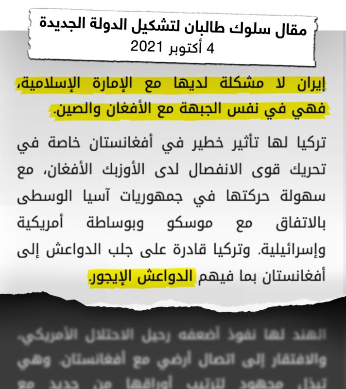 برعاية إيرانية.. ما الذي يريده صهر زعيم القاعدة من أفغانستان؟ 10 برعاية إيرانية.. ما الذي يريده صهر زعيم القاعدة من أفغانستان؟