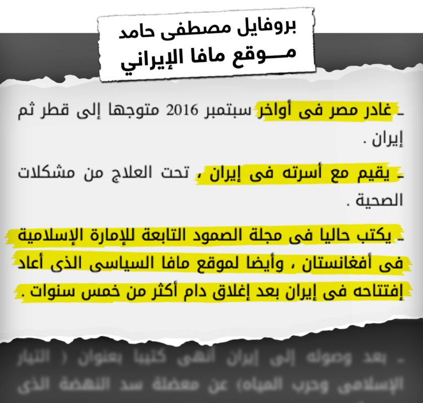 برعاية إيرانية.. ما الذي يريده صهر زعيم القاعدة من أفغانستان؟ 2 برعاية إيرانية.. ما الذي يريده صهر زعيم القاعدة من أفغانستان؟