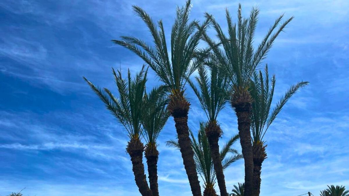 "قرقنة".. تعرف على أحد أجمل الجزر في تونس