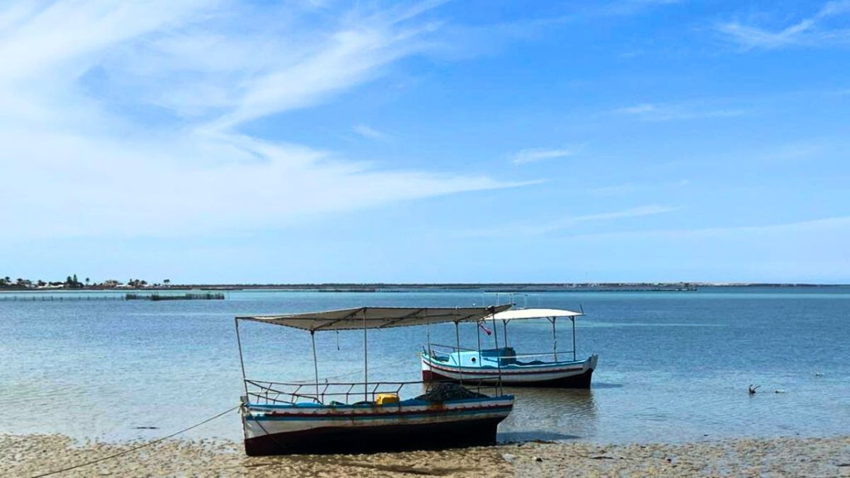 "قرقنة".. تعرف على أحد أجمل الجزر في تونس