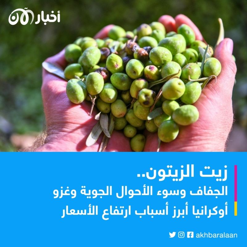 زيت الزيتون يسجل أعلى سعر في 26 عامًا.. ما علاقة غزو أوكرانيا؟ 1 زيت الزيتون يسجل أعلى سعر في 26 عامًا.. ما علاقة غزو أوكرانيا؟