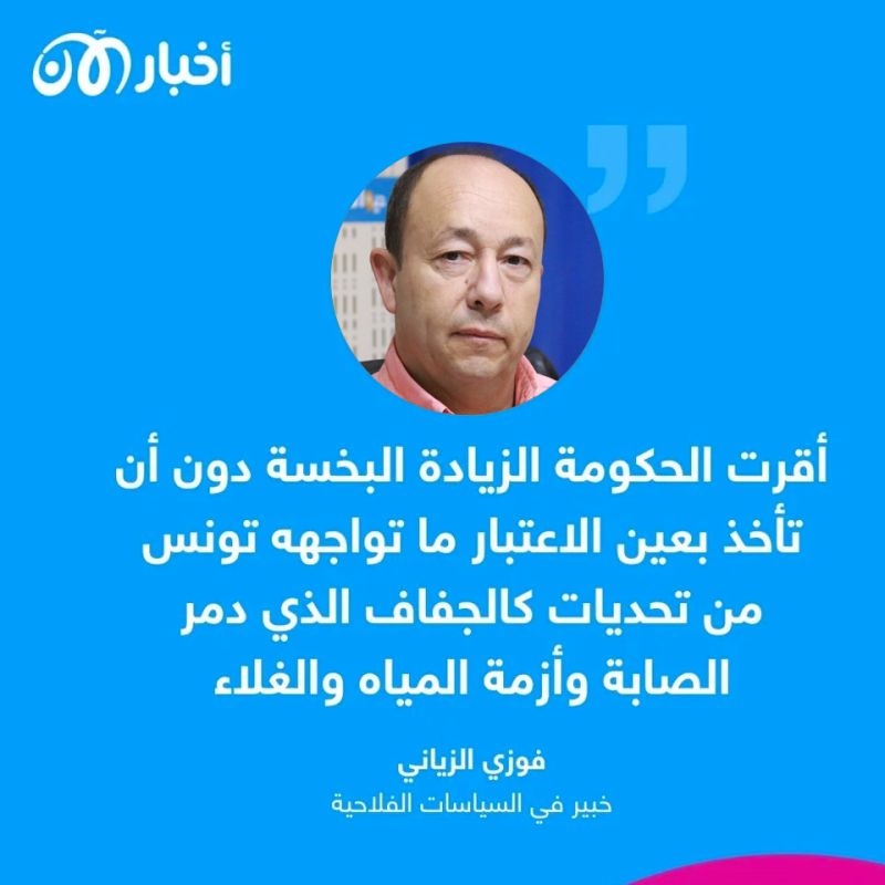 بعد زيادة سعر القمح في تونس.. خبير فلاحي لـ"أخبار الآن": زيادة مخيبة للآمال