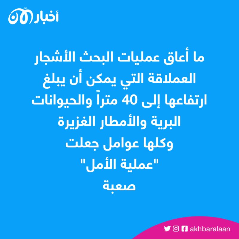 العثور على 4 أطفال أحياء بعد تحطم طائرتهم في أدغال الأمازون