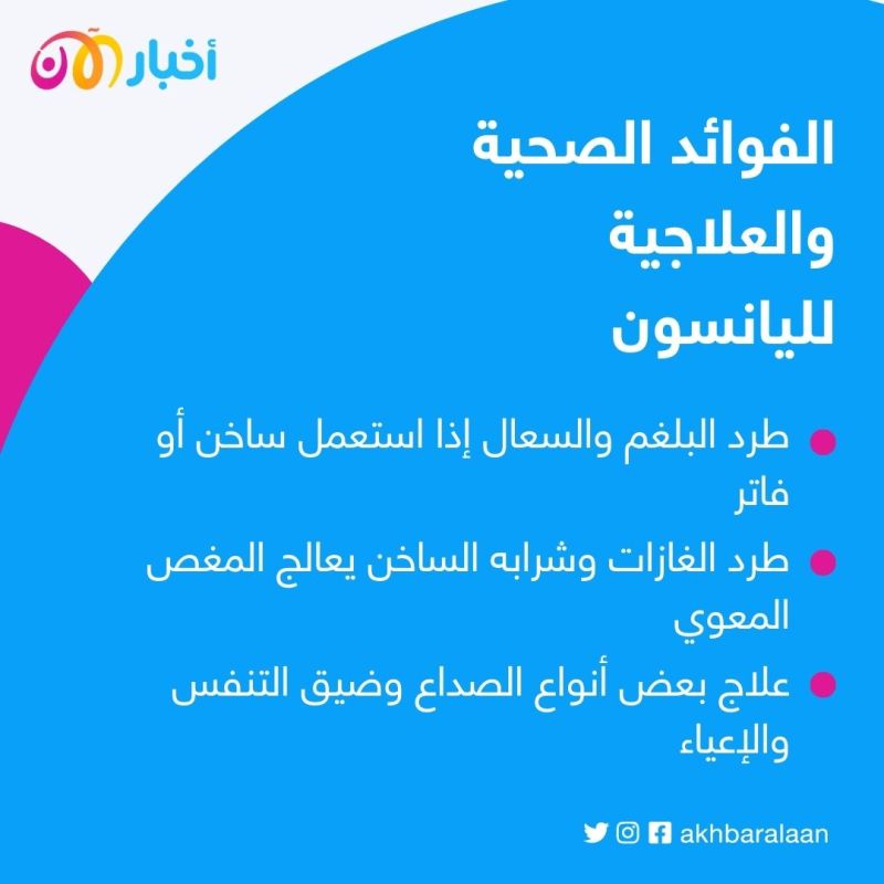 اليانسون.. تعرف على أهم الفوائد الصحية والعلاجية "للمشروب السحري"