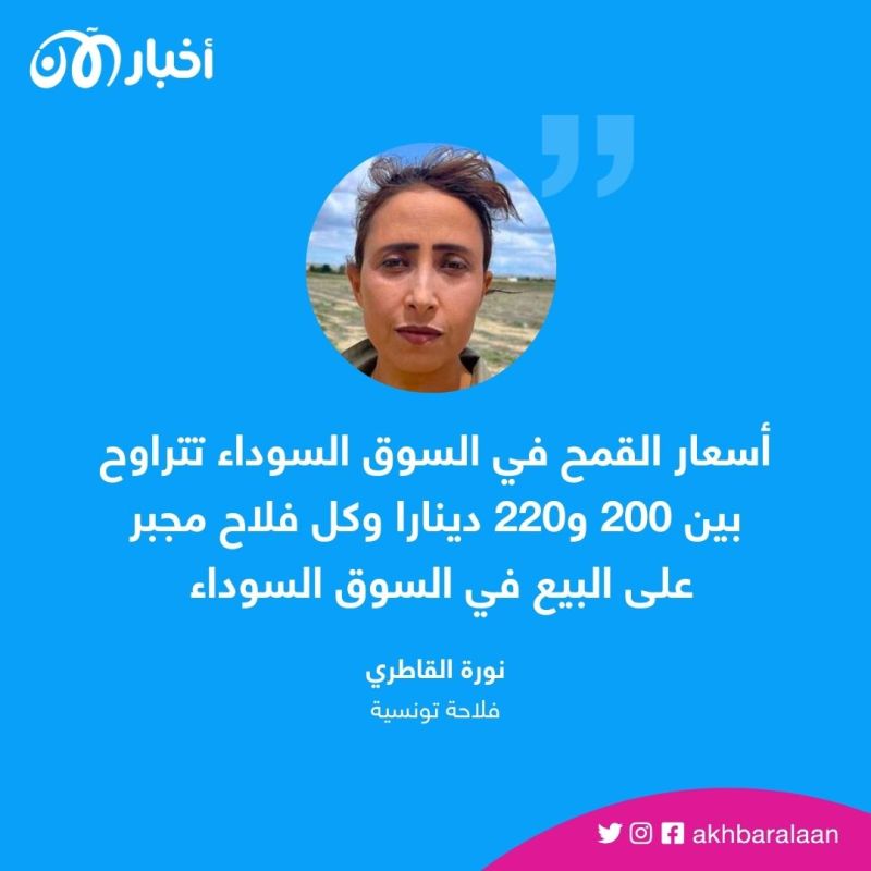 سعر القمح "مضحك" ويجبرنا على هذا الأمر.. فلاحة تونسية لـ"أخبار الآن"