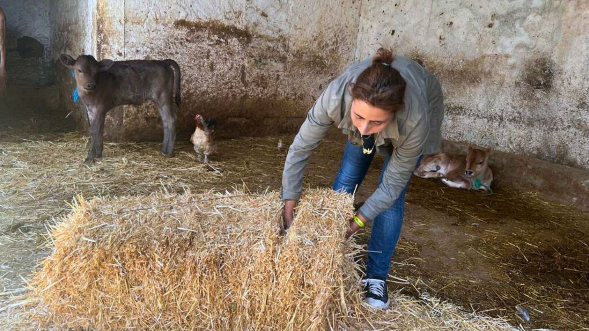 سعر القمح "مضحك" ويجبرنا على هذا الأمر.. فلاحة تونسية لـ"أخبار الآن"