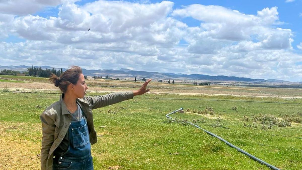 سعر القمح "مضحك" ويجبرنا على هذا الأمر.. فلاحة تونسية لـ"أخبار الآن"