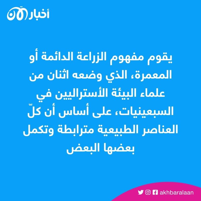 بسبب الجفاف.. مزارع يلجأ للزراعة الدائمة في ظل تداعيات أزمة المناخ في تونس