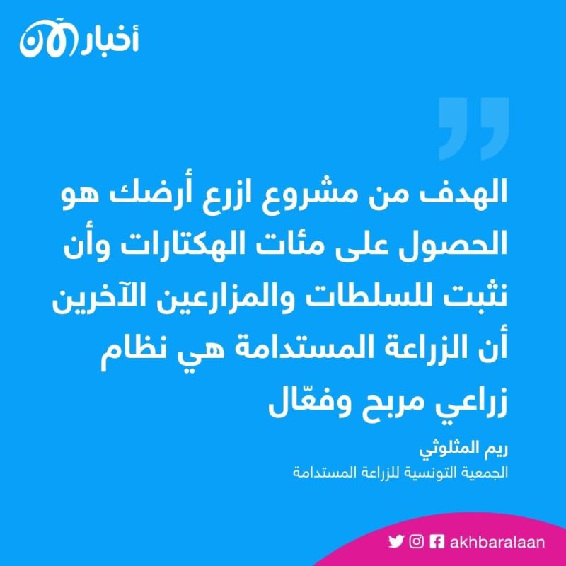 بسبب الجفاف.. مزارع يلجأ للزراعة الدائمة في ظل تداعيات أزمة المناخ في تونس