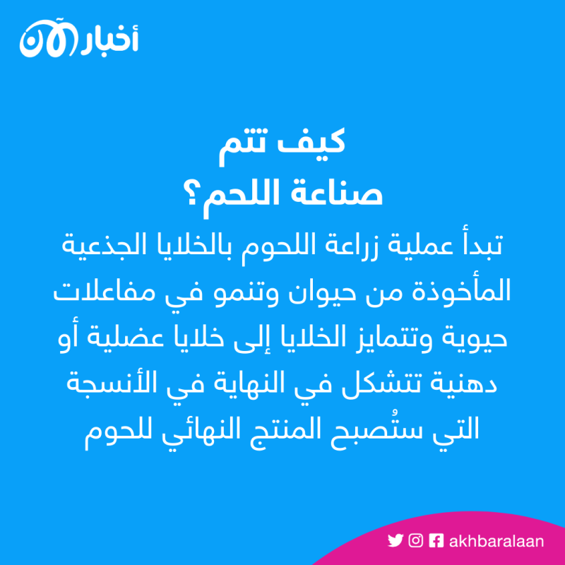 شرائح سمك مصنوعة بطابعة ثلاثية الأبعاد صالحة للاستخدام البشري.. أيعقل هذا؟