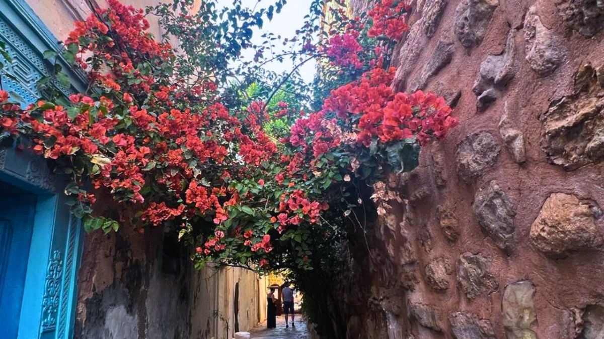 الحمامات التونسية.. حيث تجذبك رائحة "المشموم" وينعشك نسيم البحر 4 الحمامات التونسية.. حيث تجذبك رائحة "المشموم" وينعشك نسيم البحر