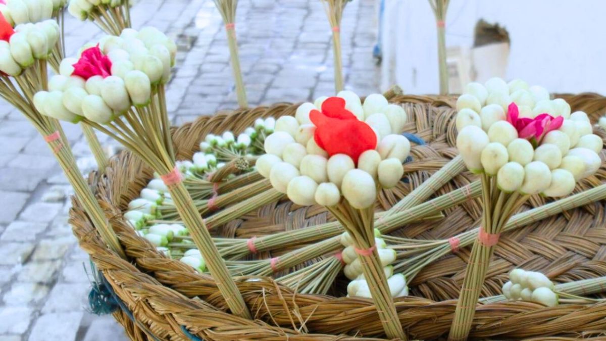 الحمامات التونسية.. حيث تجذبك رائحة "المشموم" وينعشك نسيم البحر 11 الحمامات التونسية.. حيث تجذبك رائحة "المشموم" وينعشك نسيم البحر