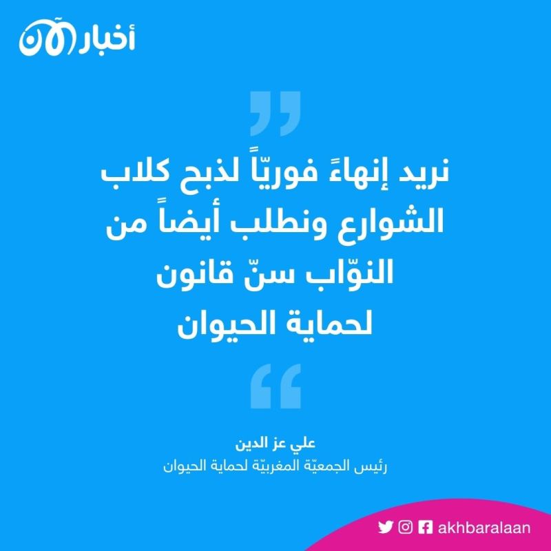 ناشطون يتظاهرون في المغرب ضد قتل الكلاب الضالّة 1 ناشطون يتظاهرون في المغرب ضد قتل الكلاب الضالّة