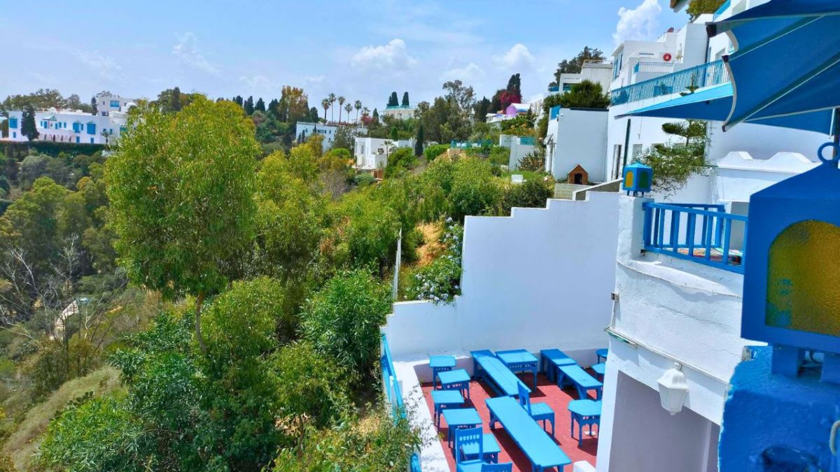 سانتوروني التونسية.. تعرف على المدينة الزرقاء "سيدي بوسعيد"