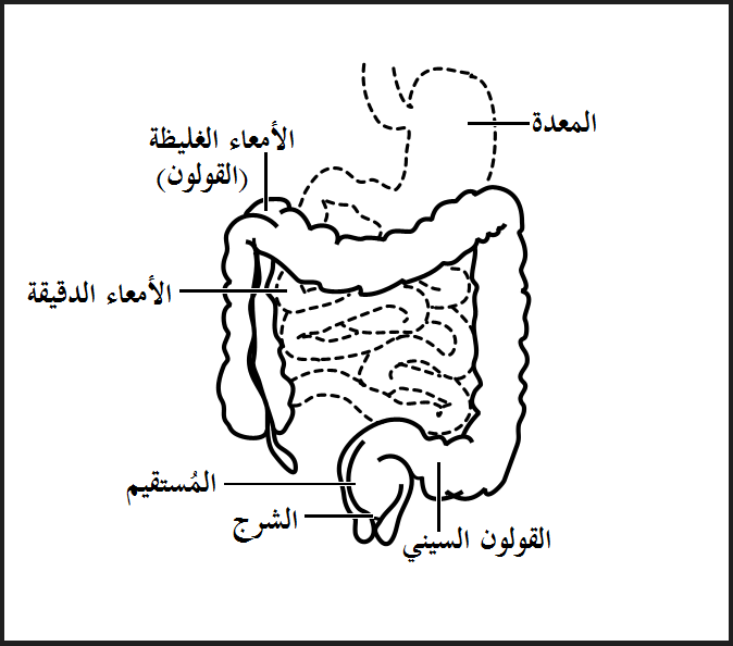 القولون العصبي.. ما هو وكيف يمكنك التغلب عليه؟