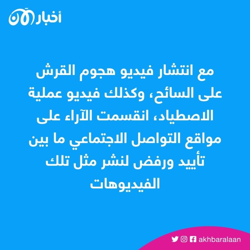 بين زاويتين | نشر فيديو قرش الغردقة.. توعية بالمخاطر أم إضرار بالسياحة؟ 1 بين زاويتين | نشر فيديو قرش الغردقة.. توعية بالمخاطر أم إضرار بالسياحة؟