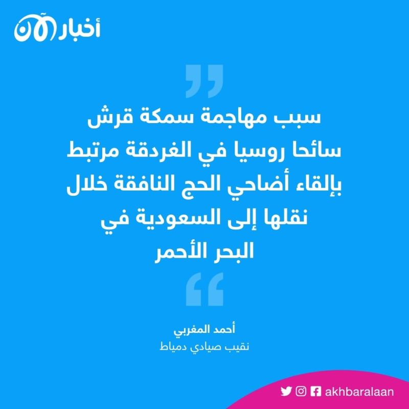 أضاحي الحج ... سبب غريب لهجوم القرش على السائح الروسي