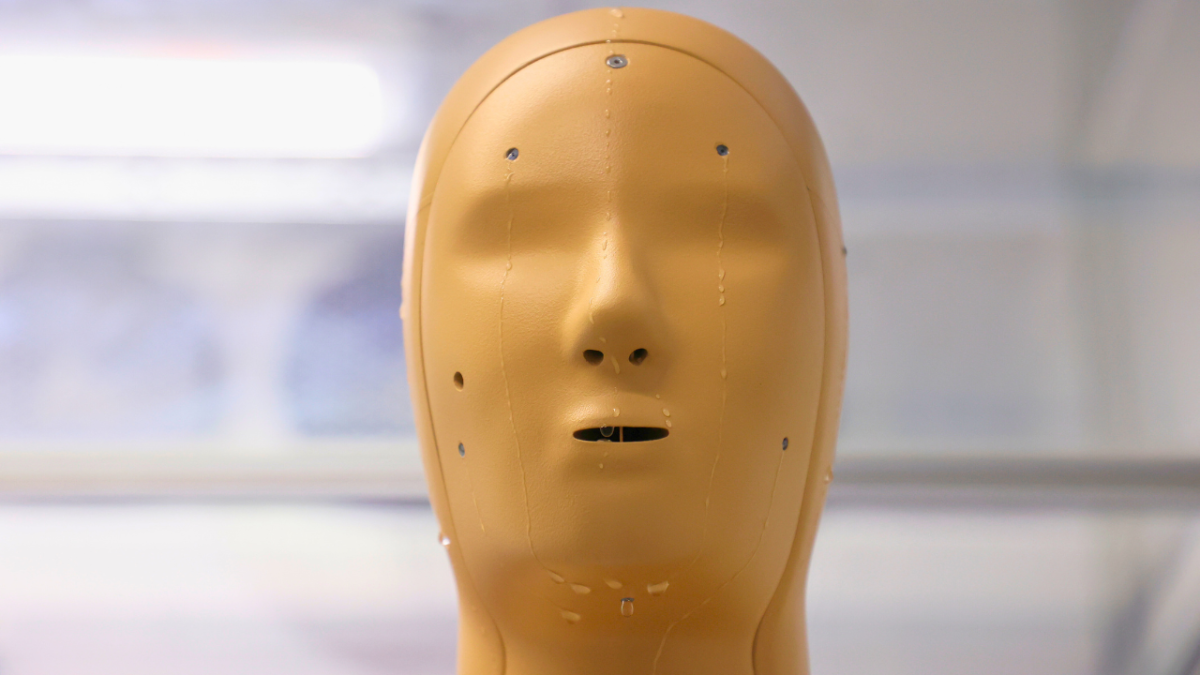 دمية حرارية تُساعدك في كشف أمراض الصيف