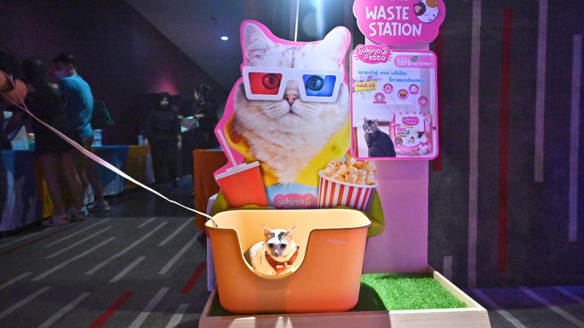 لسبب غريب.. قاعة سينما تسمح باصطحاب الحيوانات الأليفة 2 لسبب غريب.. قاعة سينما تسمح باصطحاب الحيوانات الأليفة