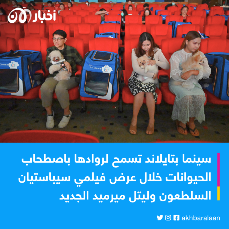 لسبب غريب.. قاعة سينما تسمح باصطحاب الحيوانات الأليفة 1 لسبب غريب.. قاعة سينما تسمح باصطحاب الحيوانات الأليفة