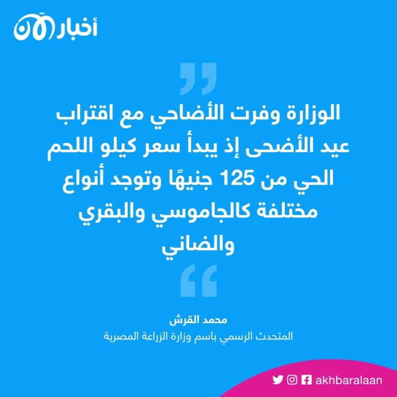 ارتفاع غير مسبوق في أسعار اللحوم والأضاحي في مصر.. مالسبب؟ 2 ارتفاع غير مسبوق في أسعار اللحوم والأضاحي في مصر.. مالسبب؟